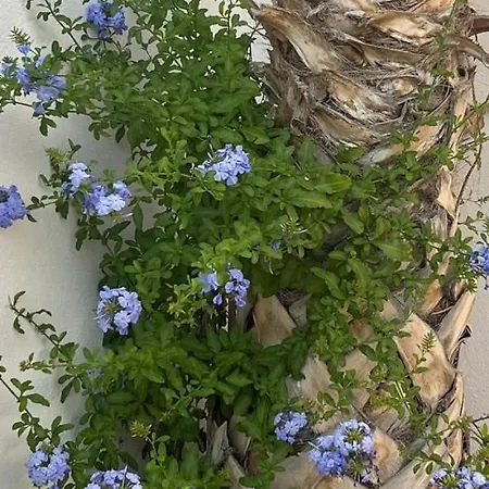 Lantställe Cortijo Malenos