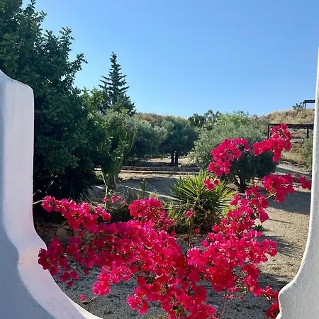 Cortijo Malenos Lantställe *