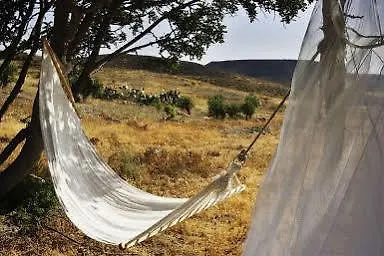 Cortijo Malenos Lantställe *