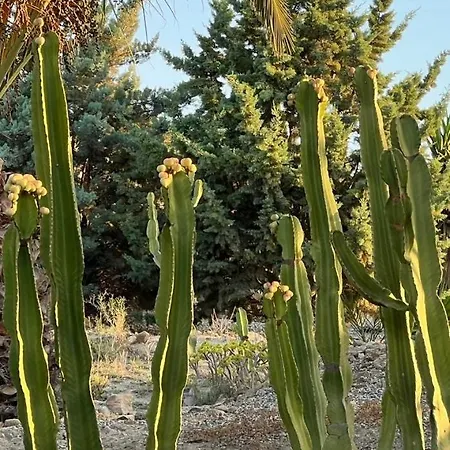 Country house Cortijo Malenos *